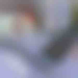 Sonnenblende für Auto und Fenster | SUNGUARD