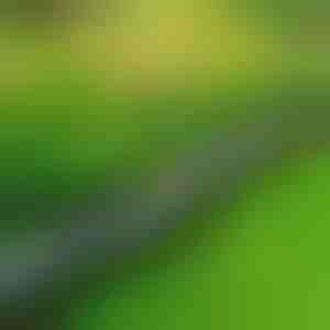 Steinartige Gartenumrandung (10 Stk.) | MINIFENCE