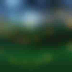 Mit Tageslicht betriebene Lichter | SOLSTICE