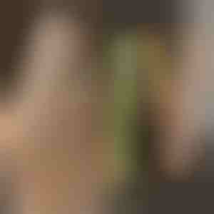 Lockenstab & Glätteisen TWISTLINE