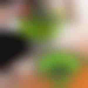 Silikonsiebe (2 Stück) | FOLDRAIN