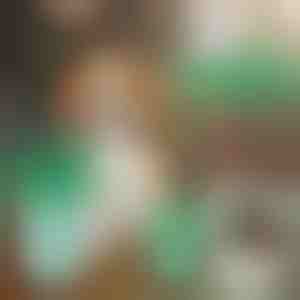 Hundepfoten-Reinigungsbecher | PAWSANI