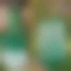 Wiederverwendbare hängende Fliegenfalle für Garten, Terrasse und Balkon | INSECTA