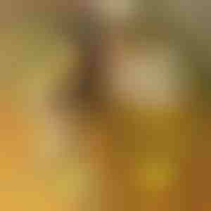 LED-Acryl-Leuchttafel mit 7 Markern | LUMOBOARD