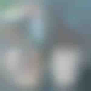 Katzenstreu-Schaufel | SCOOPY