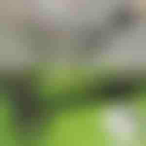 Unkrautbekämpfungwerkzeug | RUNCO