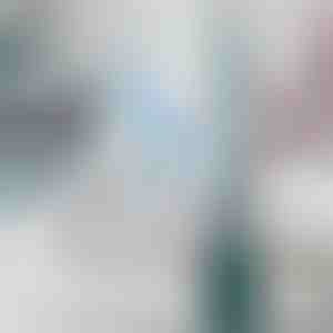 Toilettenbürste mit integriertem Spender für Reinigungsmittel | FLUSHBRUSH