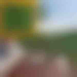 Sichtschutzwand mit künstlichen Blättern | LEAFPANEL