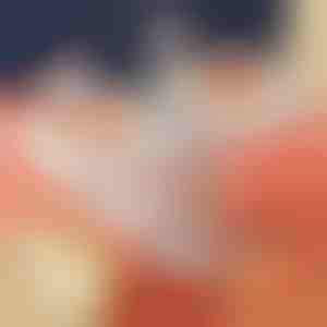 Nudelmaschine | DUMPLINGPRO