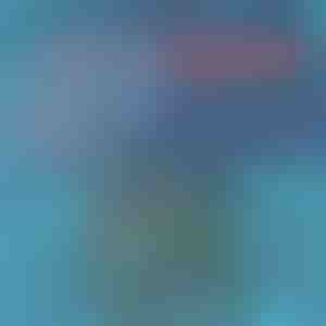 Schnell trocknende Badehose | TOGGIES