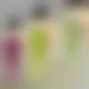 Dekorative Hängepflanze | IVYORA