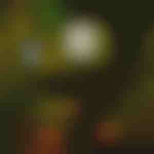 Solar-Wegbeleuchtung (6 Stück) | LUMITRAD