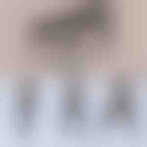 Multifunktionale Pilates-Stange | TONEBAR