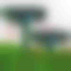 Ultraschall-schädlingsbekämpfer | SONICFIELD