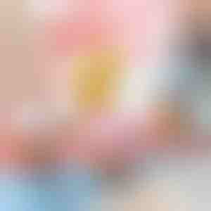 Aufziehbares springendes Spielzeugküken (5 Stück) | CHIKLET