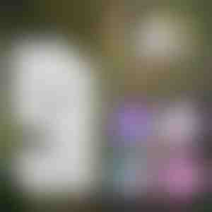 Tragbares kindermikroskop | MINISCOPE