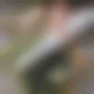 Einfacher sushi-roller für zuhause | SUSHROLIO