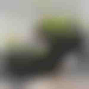 Gartenkasten zum Anpflanzen | BOTANITKO