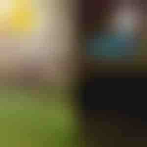 Solar-Tropen-Gartenleuchten | LUMIPALM