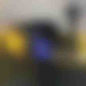 Outdoor-Mückenschutzlampe (2 Stück) | SOLARBUZZ