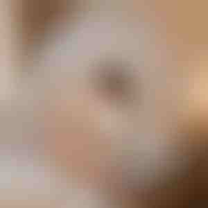 Moskitoschlafzelt, das Sie schützt | BUGISTOP