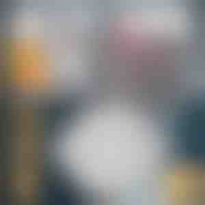 Einweg-Abflussfilter-Aufkleber (25 Stück) | DRAINCAPS