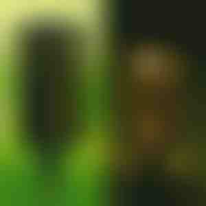 Dekorative Solarlampe (2 Stück) | GARDENIAS