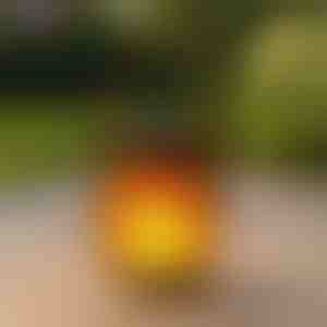 Solarlaternen mit tanzendem Flammeneffekt | FLAMLUX