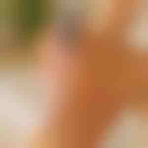 Elektrischer Hornhautentferner - Nass- & Trockenanwendung | PEDIVIA