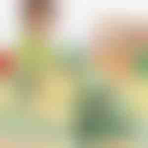 Dinosaurier-Treppensteiger | DINOCLIMBER