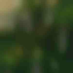 Flammenlose flackernde Kerzen (6 Stück) | CANDLEA