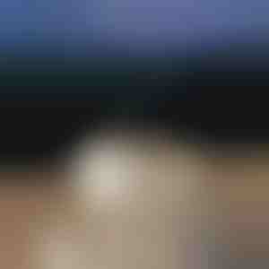 Beruhigender Aromadiffusor | MEDUSAMIST