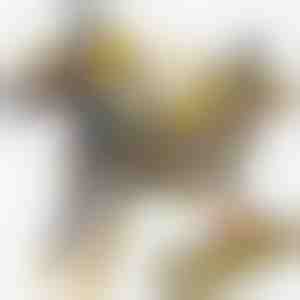 Magnetisches Dinosaurier-Auto-Spielzeug | ROARWHEEL