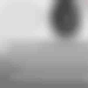 Schnell dichtende Reifenreparaturnägel (60 Stück) | VULCOFIX