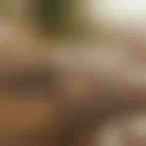 Magnetischer selbstklebender Kabelorganizer (12 Stück) | CABLIP