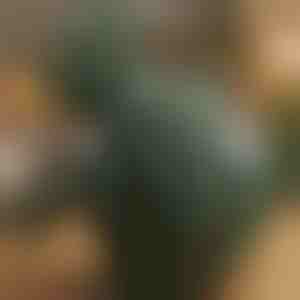 Beheizbares Shiatsu-Massagegerät | MASSORA