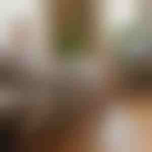 Mini-Pedaltrainer für Schreibtisch, Sofa und Stuhl - Arme und Beine, einstellbarer Widerstand, bis 150 kg | PEDALORA