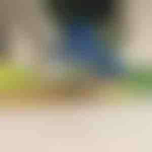 Elektrischer Obst- und Gemüseschäler | PEELMATIC