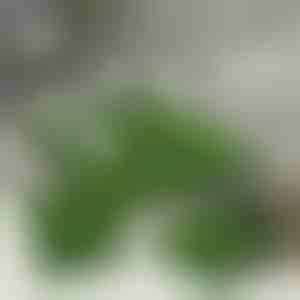 Künstliche Rasenfliesen zur Dekoration (5 Stück) | GRASSTILE